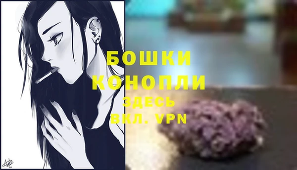молекула духа Волосово