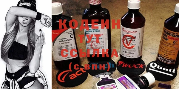 apvp Верея
