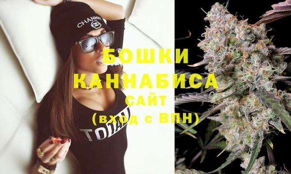 молекула духа Волосово