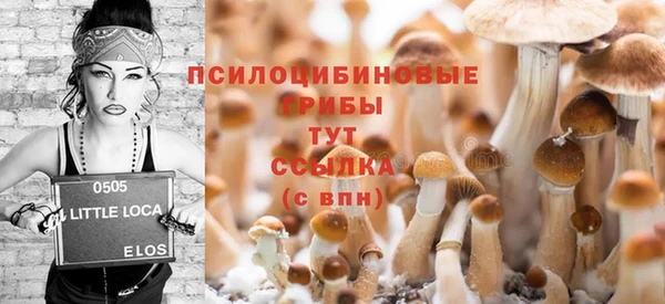 гидра Волоколамск